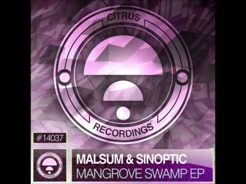 Malsum & Sinoptic - Transhuman
