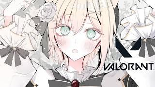 【 VALORANT 】本番までもうすぐです【 ぶいすぽっ！胡桃のあ 】