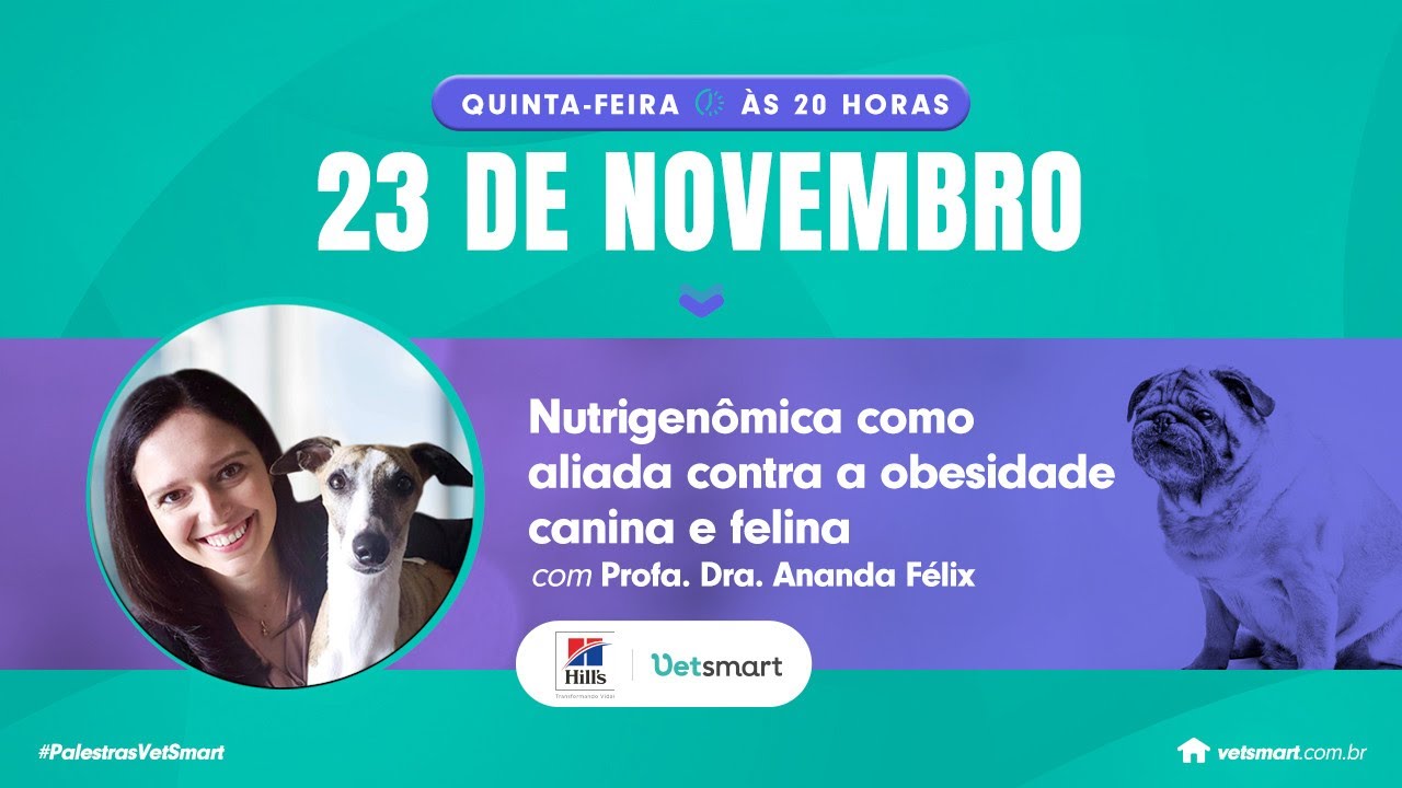 Nutrigenômica como aliada contra a obesidade canina e felina