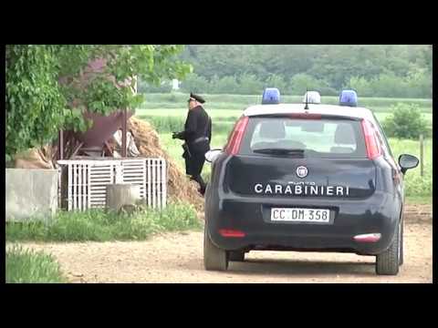 Sinalunga Murder: Suspected Killer Arrested in Foiano