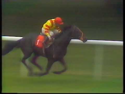 1989 July Stakes Rock City