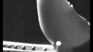 Moulin a café (Sidney Bechet)  - Louisiana Jazz Band