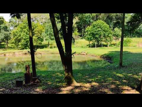 @ chácara em rio bonito do Iguaçu PR ♥️🙏