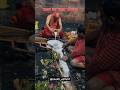14 07 2025 श्रावण पहला सोमवार ️ Baba Baidyanath Dham Shravan Mela 