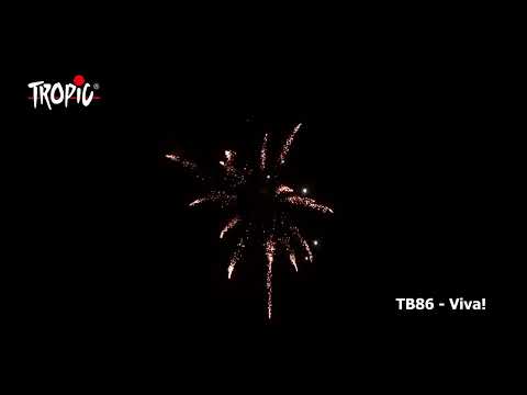 Feuerwerksbatterie VIVA von Tropic Vuurwerk