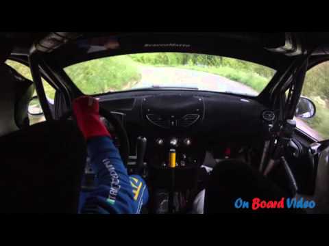 Cameracar 21° Rally del Taro 2014 Orso-Olivo Renault Twingo R2B