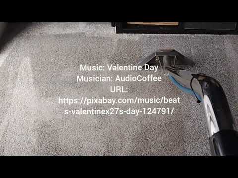 lounge carpet clean 27 04 23