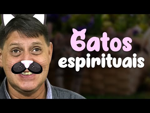 PTD nº 554 - Começamos a ver gatos espirituais dentro de casa