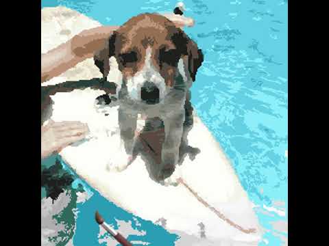Color by Number - dog