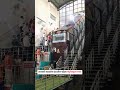 ️ ️ Aai Saptashrungi Devi Status Vani Gad Navratri 4k Status सप्तश्रृंगी �
