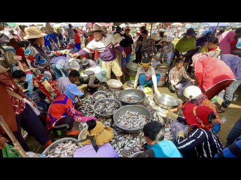 This Is Site For Distribution Fish At Street Kilo #9 In Phnom Penh Cambodia