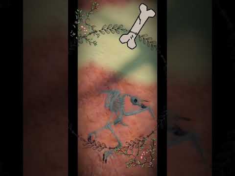 is it immortality or a curse? //Feather family ROBLOX//#Birds#featherfamily