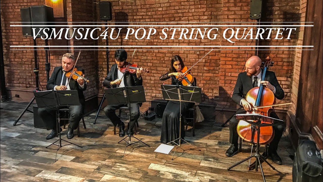 Promotional video thumbnail 58 for VSmusic4u Wedding & Event Musicians