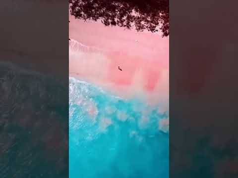 Selamat datang di petualangan seru! 🌍 Terima kasih udah selalu mendukung, yuk jelajahi keindahan dunia bareng!
