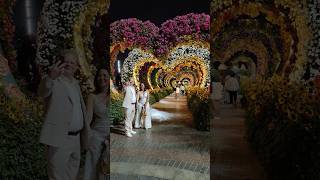 Mesmerizing Dubai Miracle Garden 2024 at Night 🇦🇪 #travel #dubai #miraclegarden