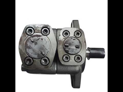 Vane Pump
