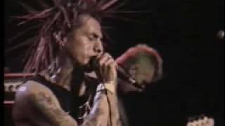 the casualties-punx &amp; skins