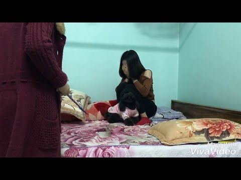 Защитница