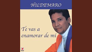 No Valió La Pena Lyrics English Translation