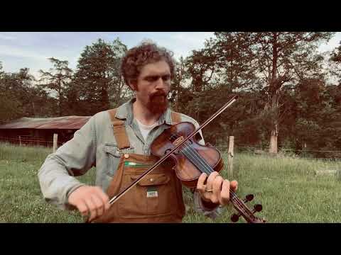 Marcus Martin's "Possum up a Gum Stump"