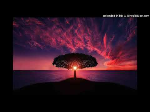 [432Hz] Melodic Synth Trap Type Beat - Practice (Prod.Mort1s1 x KingsBeats)