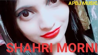 SHAHRI MORNI # New Haryanvi Dj Song 2018 # ANSH MUNDHARE BIBIPUR # ASHU PATEL