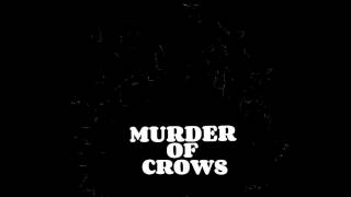 Murder Of Crows - Jamie T