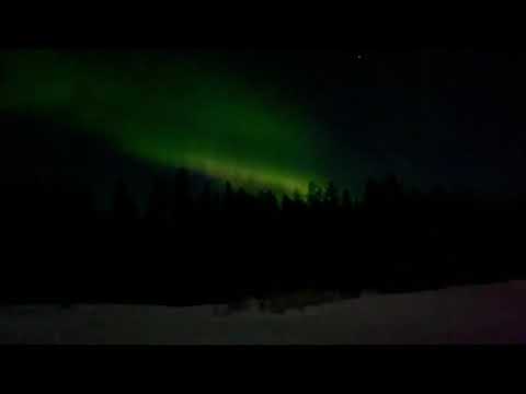 Northern Lights Unedited - Real view of Aurora Borealis at The Arctic Circle in Lapland
