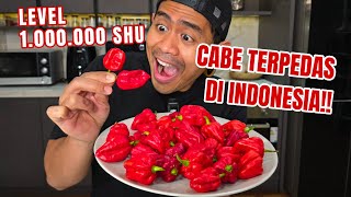 Download lagu GEGER!! PENEMUAN CABE TERPEDAS DI INDONESIA LEVEL 1 JUTA !! mp3