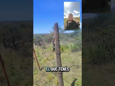 El paso a paso de una inversión online segura: El Relevamiento. 📐📱