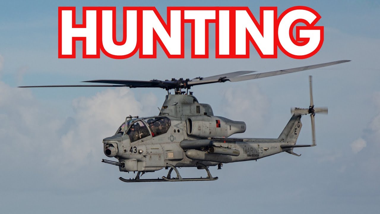 US to Hunt Down and Destroy Cartels