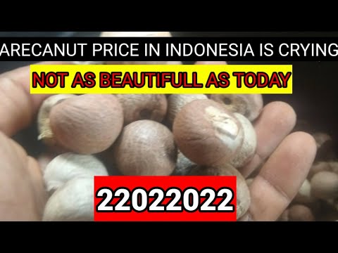 Arecanut price in Indonesia is crying