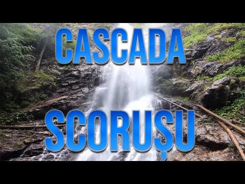 Traseu: Malaia (Vâlcea) la Cascada Scoruşu. Sau Scoruş sau Cascada lui Ciucă...