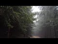 10 Hours of Rain Sound Relaxation / Ultimate Stress Relief, Deep Sleep, Meditation, Yoga,...