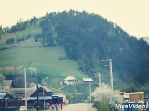 BISTRA Comuna Alba..