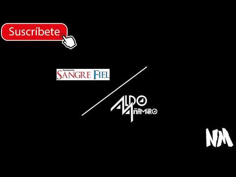 ALDO AÑAMURO Y AGRUPACION SANGRE FIEL (Enganchado)