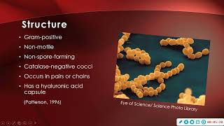 Scarlet Fever Presentation  - BIO 525 Topic 7