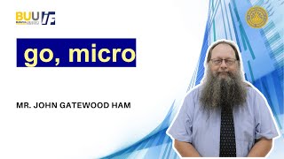 go, micro