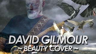 DAVID GILMOUR ：PINK FLOYD 『BEAUTY』 COVER All Instrument by miu JAPAN