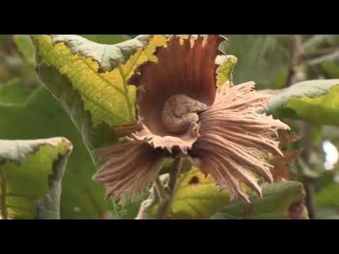 Može bolje ep. 32 NAJAVA