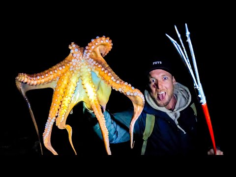 GIANT OCTOPUS - Catch and Cook - How To Cook PERFECT Octopus Every Time