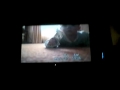 Afv