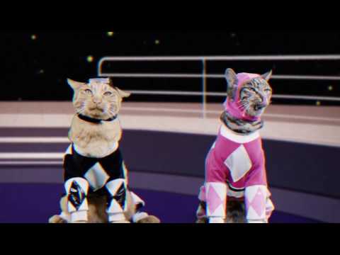 Mighty Morphin Meower Rangers – Who’s at the Door? - Episode 3