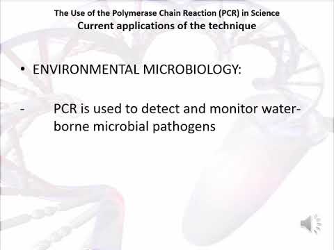 The Use of the Polymerase Chain Reaction  BCM201 Group 9 Assignment