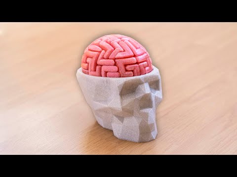 ¿PODRÍAS CONSTRUIR UN CEREBRO? (+50 PIEZAS) *NIVEL LOCURA*