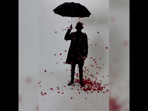 vevqman - Trandafir (snippet)