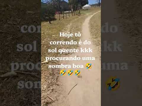 #viral #video #sertão #poção #pernambuco #shortsfreefire #sol #calor #sombra #nordeste
