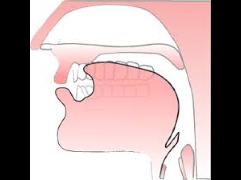 /ʒ/  Sound-Articulation and Pronunciation-Part 21