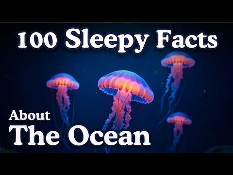100 Ocean Facts to Fall Asleep To — Dreamy Science