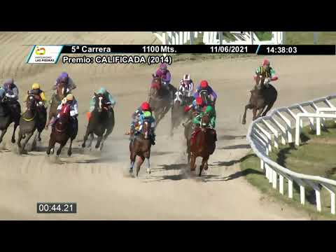 210611 c05 - LAVANDINA - HIPODROMO LAS PIEDRAS
